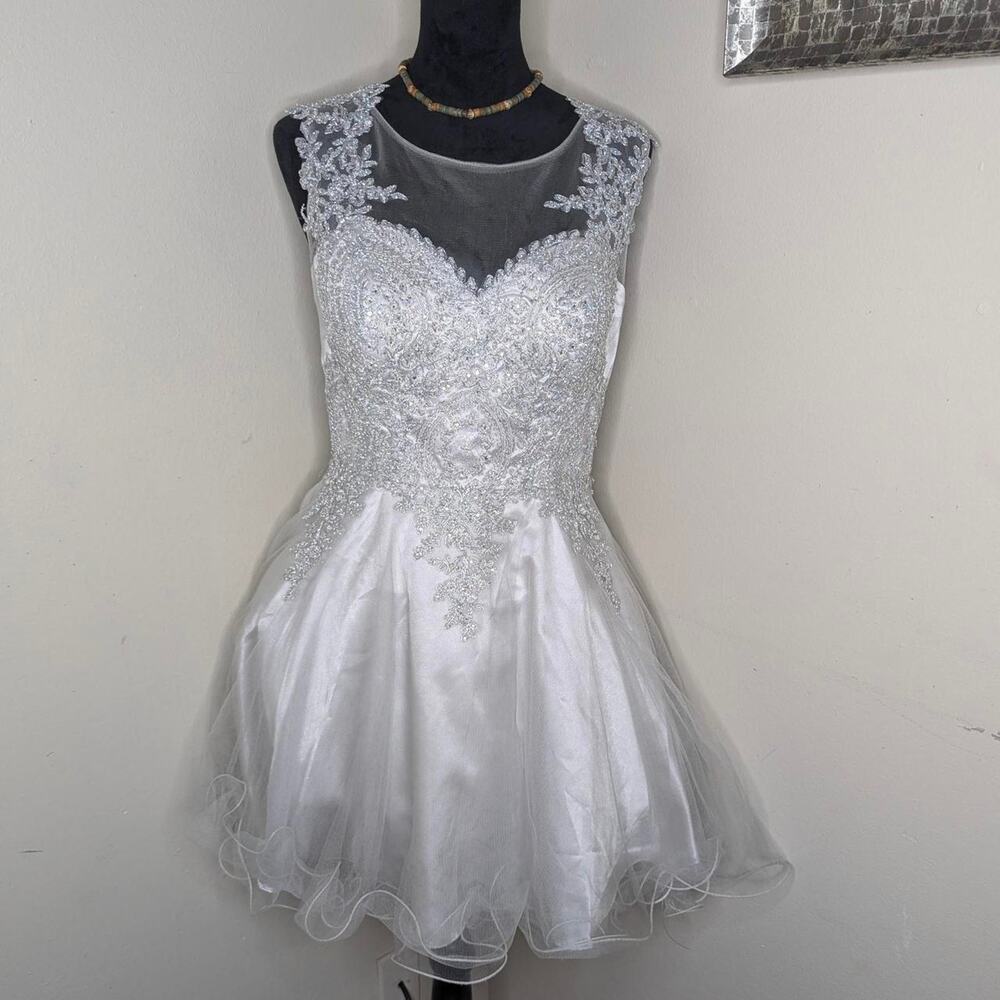 Anny Lee Silver lace dress large